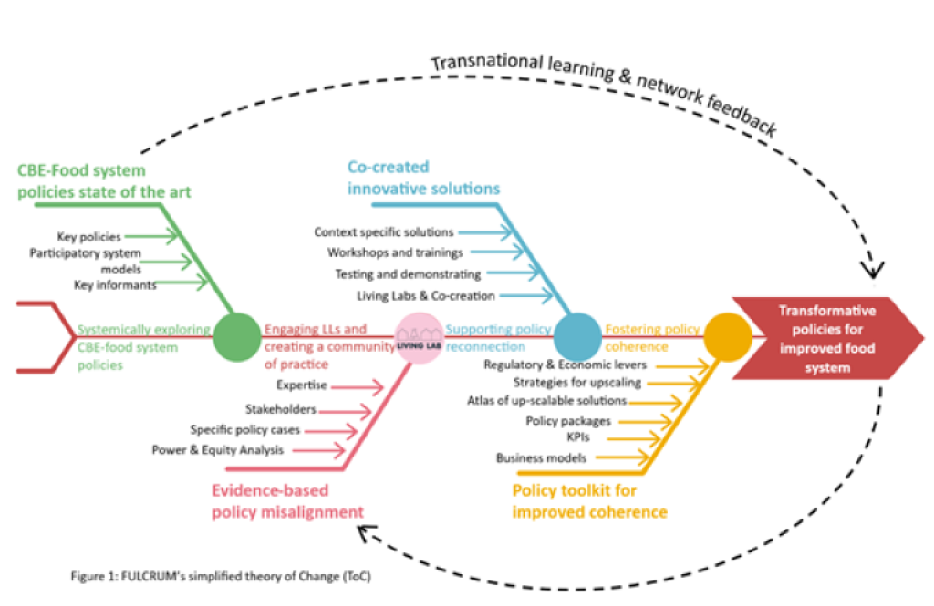 FULCRUM theory of change