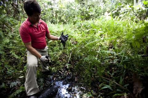 oil spill in rainforest