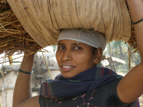 carrying on head Indian farm worker