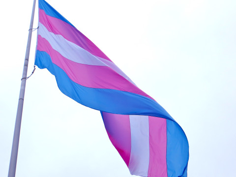NPP NATIONAL PROGRESS PARTY FLAG