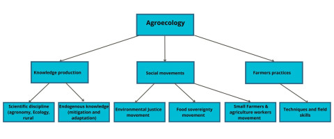 Agroecology 