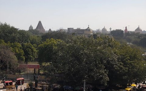 South Delhi skyline with mosque and temples