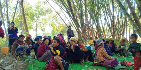 IDPs sheltering in forest near Hsihseng
