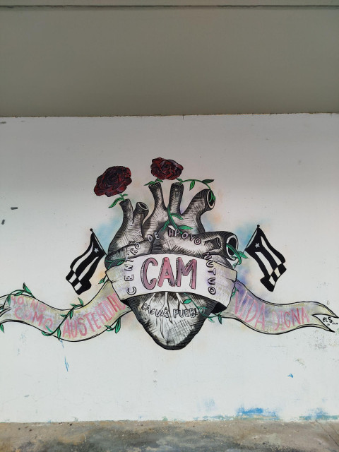Mural on the façade of the CAM in Caguas, bearing the words ‘I don't eat austerity’ and ‘a dignified life’.