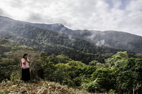 Woman observing her recently eradicated coca field, near Caranavi, Bolivia. Photograph Diego Giacoman