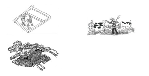  Fig. 1. A plot, a home lot, or a pasture