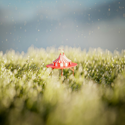 Photo by Mehrab Sium on Unsplash