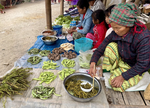 Women tending market stall with their children, Kachin State. 