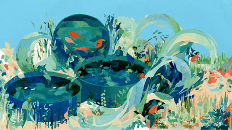 Illustration by Fourate Chahal El Rekaby