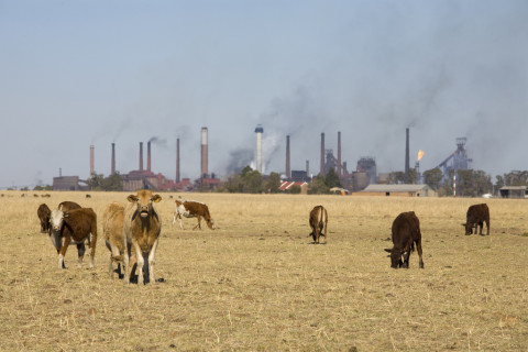 Farm land bordering industrial area Farm land bordering industrial area