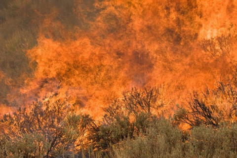 Castle rock wildfire.