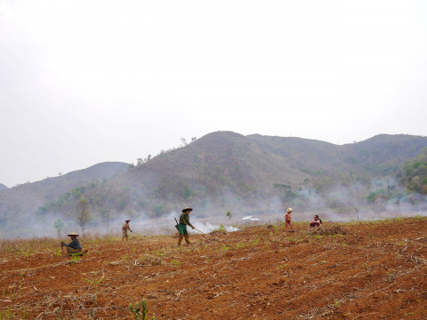 Farmers working in the northern Shan State