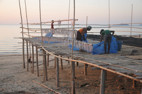 Fishing community in Mon State. Kratom leaves are commonly used by fishermen working at sea to cope with difficult working and climatic conditions Fishing community in Mon State. Kratom leaves are commonly used by fishermen working at sea to cope with difficult working and climatic conditions