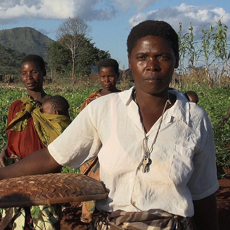 Women play an important role in guaranteeing sufficient food supply for the families. Women play an important role in guaranteeing sufficient food supply for the families. Photo: Duckin\' & Divin\' Films