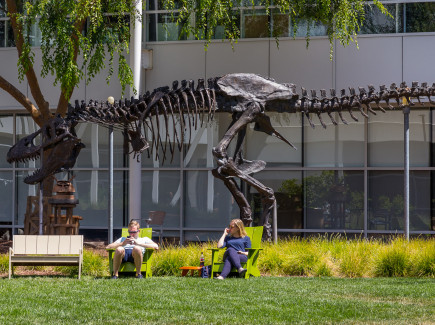A replica of a Tyrannosaurus Rex skeleton named "Stan" sits in the middle of Google's headquarters courtyard, the Googleplex in Mountain View, California.