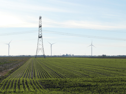 Power lines and wind turbines