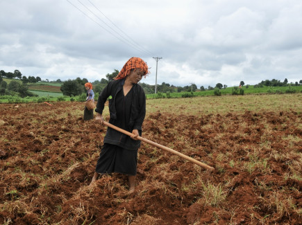 Two Pa-O women working on the land, southwest Shan State