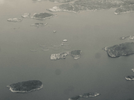 Aquaculture cages off the coast of Norway.