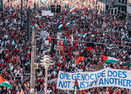 Pro-Palestine protest