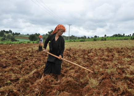 Two Pa-O women working on the land, southwest Shan State