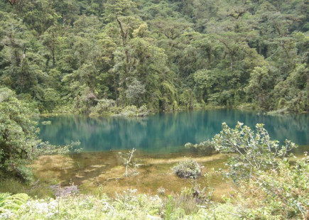 national park reclamation project part-financed by Banco Popular. Thomas Marois national park reclamation project part-financed by Banco Popular. Thomas Marois, CC BY-ND