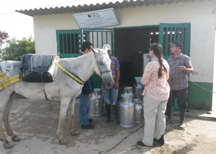 Discutiendo la producción de leche