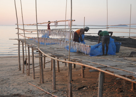 Fishing community in Mon State. Kratom leaves are commonly used by fishermen working at sea to cope with difficult working and climatic conditions