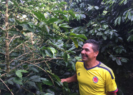 Ómar con sus plantas de café