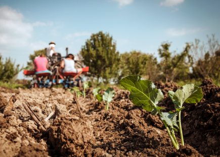 Reportage La Durette