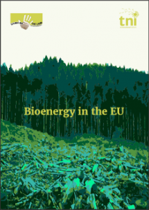 Bioenergy in the EU
