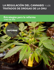 La regulación del cannabis y los tratados de drogas