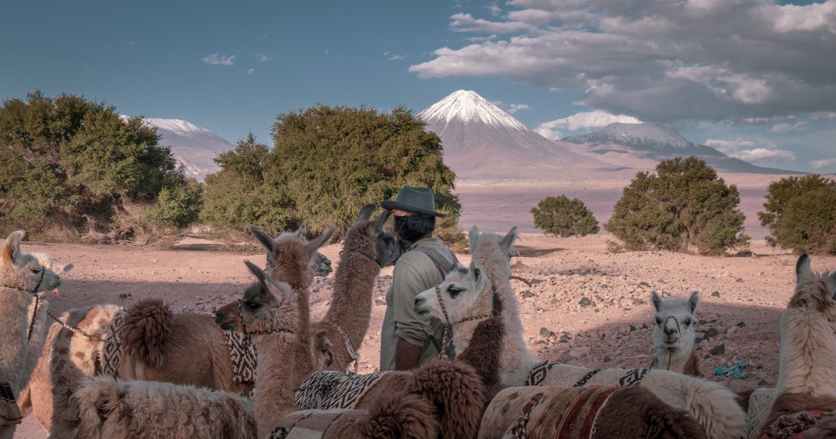 ‘Water predators’: the industry behind ‘green’ energy | Transnational InstituteTransition minerals from the world's most arid ecosystemC...