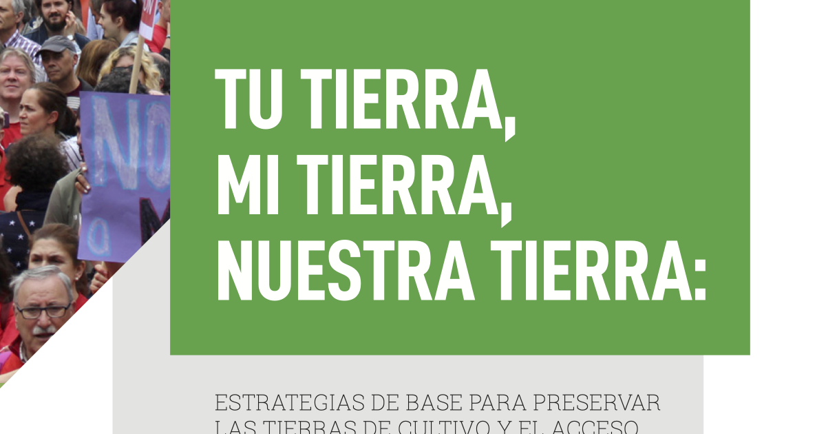 Tu Tierra Mexican